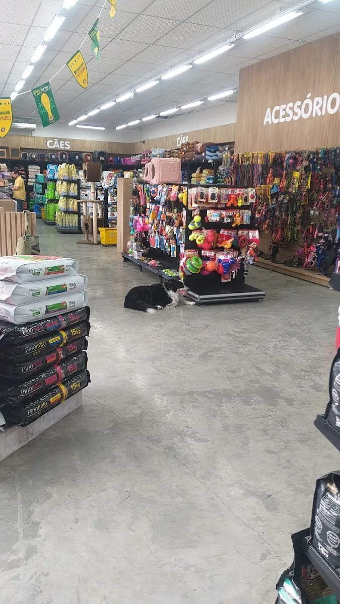 Pet Shop Agro Aves — Pet Shops em Jaraguá do Sul-SC (foto 2)