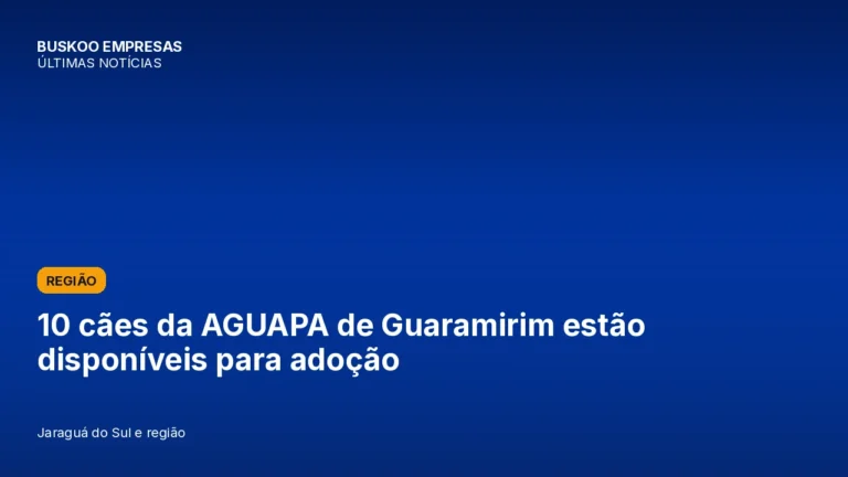 10 cães da AGUAPA de Guaramirim estão disponíveis para adoção